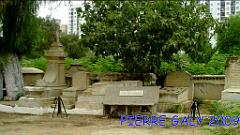 ORAN CIMETIERE JUIF (13) 2009